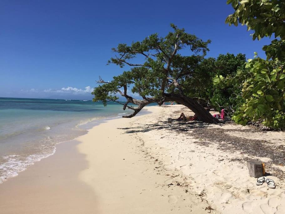 Villa Petite Terre A 50 Metres De La Plage Saint-Francois  Dış mekan fotoğraf