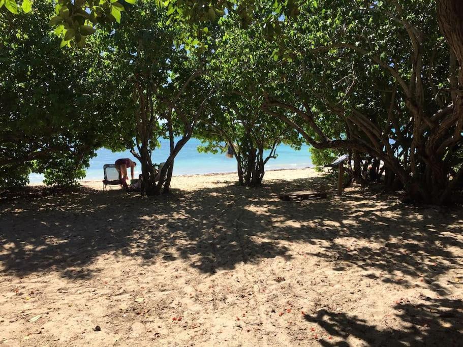 Villa Petite Terre A 50 Metres De La Plage Saint-Francois  Dış mekan fotoğraf